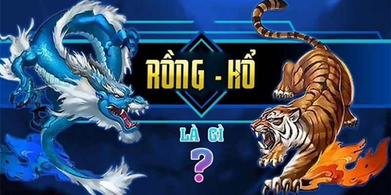 Tìm hiểu về game Rồng hổ